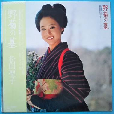 ǂ̑OɗĂ鏭N

x̐xŎIɐꂽ